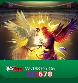 win678